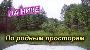 ОЧЕРЕДНОЙ ВОЯЖ В ЛЕС НА НИВЕ❗