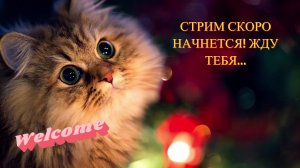 LIVE: Annamuuur