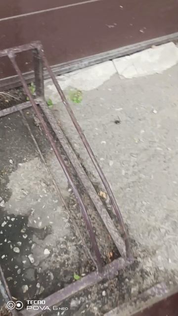 гениально смотреть онлайн
