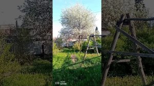 Огородные дела 👍😉.