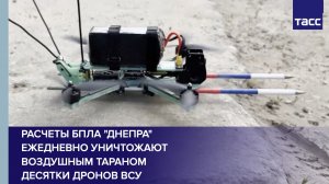 Расчеты БПЛА «Днепра» ежедневно уничтожают воздушным тараном десятки дронов ВСУ