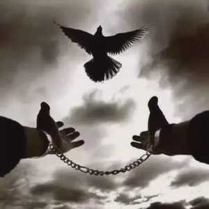 В любой жизненной ситуации пользуйся простым правилом «Не верь, не бойся, не проси».
