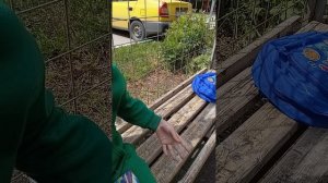 Задаю вопросы танчику по бравл старс
