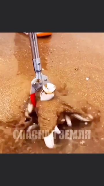 опасная земля в MAX