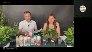 Друзья, а вот и запись нашего нового эфира с компанией Башинком!