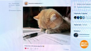 Запостил чужую фотку - получил иск? Доброе утро. Фрагмент выпуска от 27.05.2026