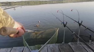 Летняя рыбалка на крышку и не только