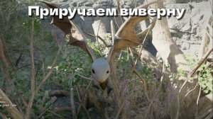 Crimson Desert. Приручаем виверну. Небольшой гайд. Питомец виверна.