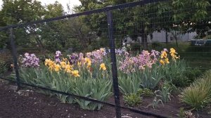 Жизнь в Деревне.О комментариях
