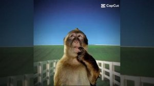 бэкрумс 2 эдит