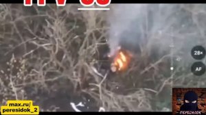 Математика для ВСУ: сколько будет умножение на ноль