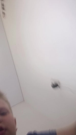 история