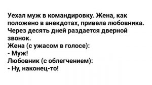 Анекдоты_про_Виагру,_Мужа_и_Командировку,_Измену_и_Тест_на_Беременность!