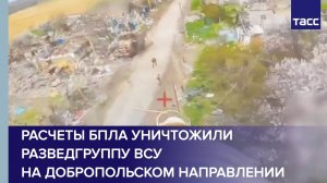 Расчеты БПЛА уничтожили разведгруппу ВСУ на добропольском направлении