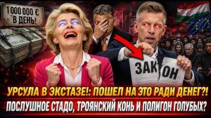 «ИУДА В Brussels!» Péter Magyar ПОДПИСАЛ ПРИГОВОР Hungary ГРАНИЦЫ СДАНЫ ЗА 90 МИНУТ!