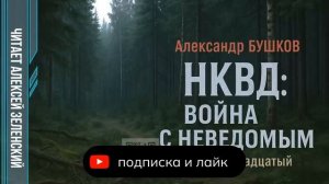 Александр Бушков  «НКВД - война с неведомым»  вечер шестнадцатый  читает Алексей Зеленский