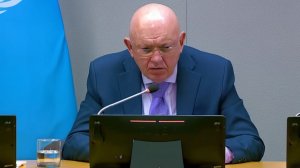 Небензя Первопричины конфликта на Украине должны быть УСТРАНЕНЫ