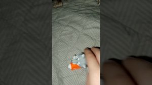 1000001721.mp4