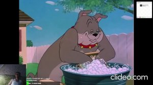 LIVE: Skyok_Tundra