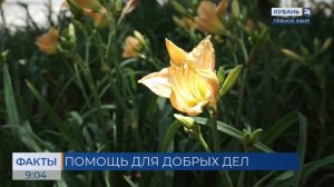 Краснодар вошел в топ-5 городов России по сбору средств на благотворительность