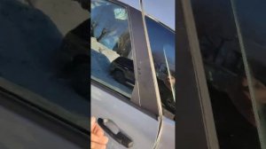 1000026625.mp4