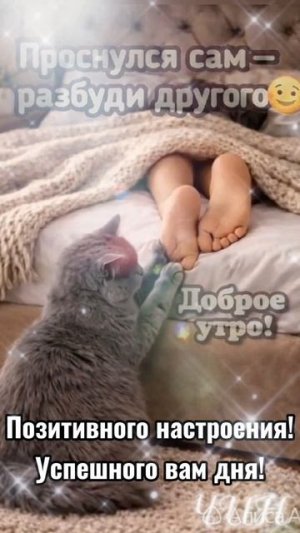 Доброе утро, Друзья! Прекрасного Вам настроения!