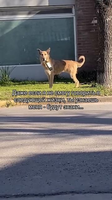 Ты в следующей жизни