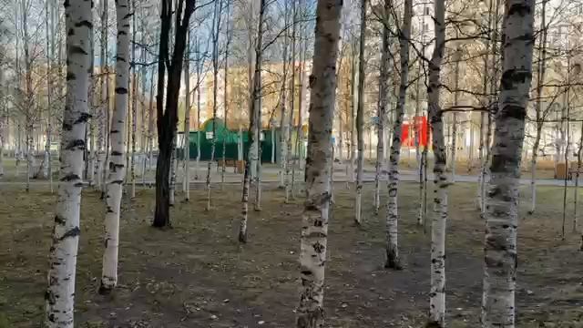 1 вход смотреть онлайн