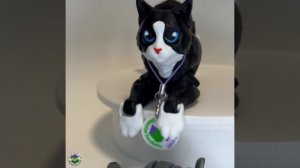 кот патриот новая песенка :)