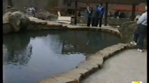 Запомни Сочи таким- 46