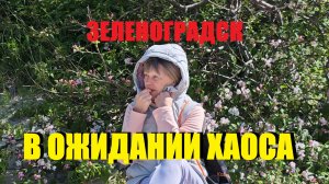 Калининград в ожидании шухера.Зеленоградск ещё не готов но туриста не остановишь.А может в Балтийск
