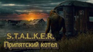 S.T.A.L.K.E.R.:Припятский котёл. 1-я серия