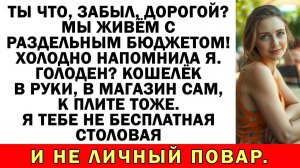 Хочешь раздельный бюджет? Отлично! | Истории из жизни | Аудио рассказы | Жизненные истории