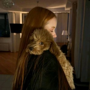 давно не было трансляций