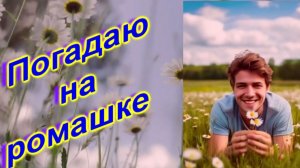 DiMarush Погадаю на ромашке 🌼 💕