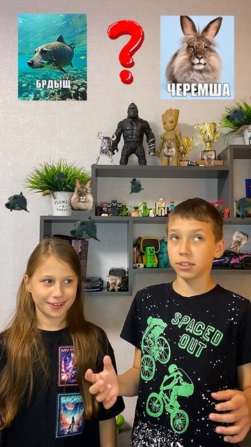 Мемы Брдыщ и Черемша! Сколько всего ты видишь?😁