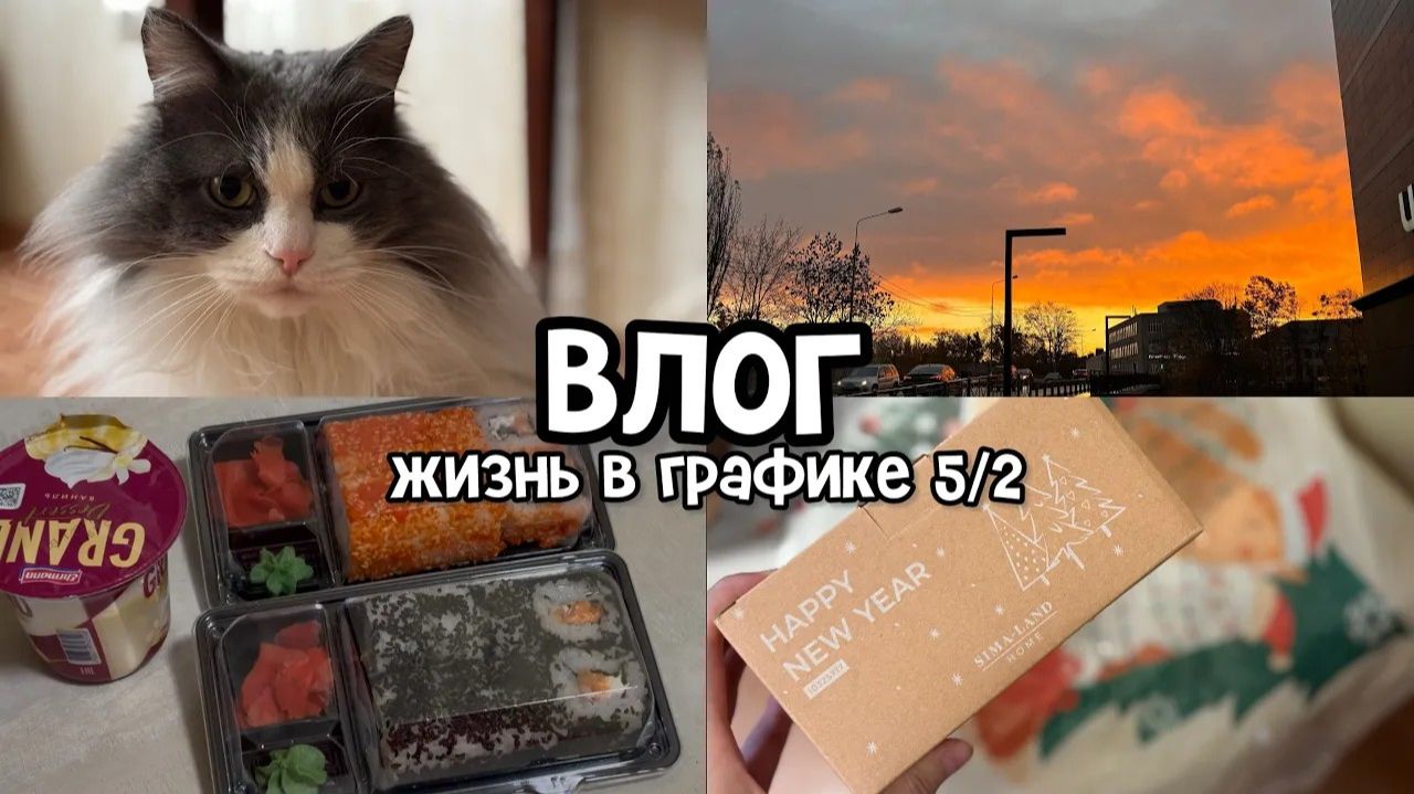 АРХИВ 2025 L Vlog: покупки к Новому году | будни офисного работника | 28-31.10.2025