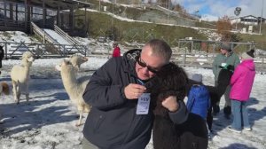 Идем обниматься с альпаками