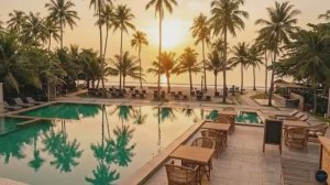 Summer Tide 🌊✨ - Tropical Ambient Journey