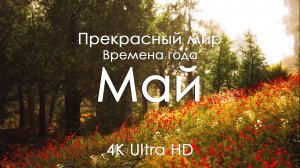 Май 4K Ultra HD | Весна, цветение и природа мира для отдыха и расслабления
