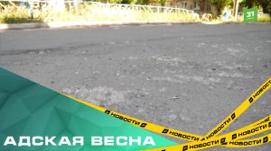 Адская весна. Как челябинцам пережить нашествие тополиного пуха?