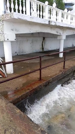 море