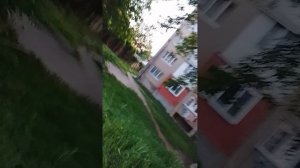 33.mp4