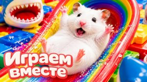 ХОМЯК ВЫБИРАЕТСЯ ИЗ СЕКРЕТНОЙ ХОМЯЧЕЙ ТЮРЬМЫ !! Играем ВМЕСТЕ ! Супер лабиринт для хомяка №7