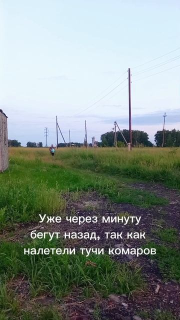 Комары в деревне.mp4