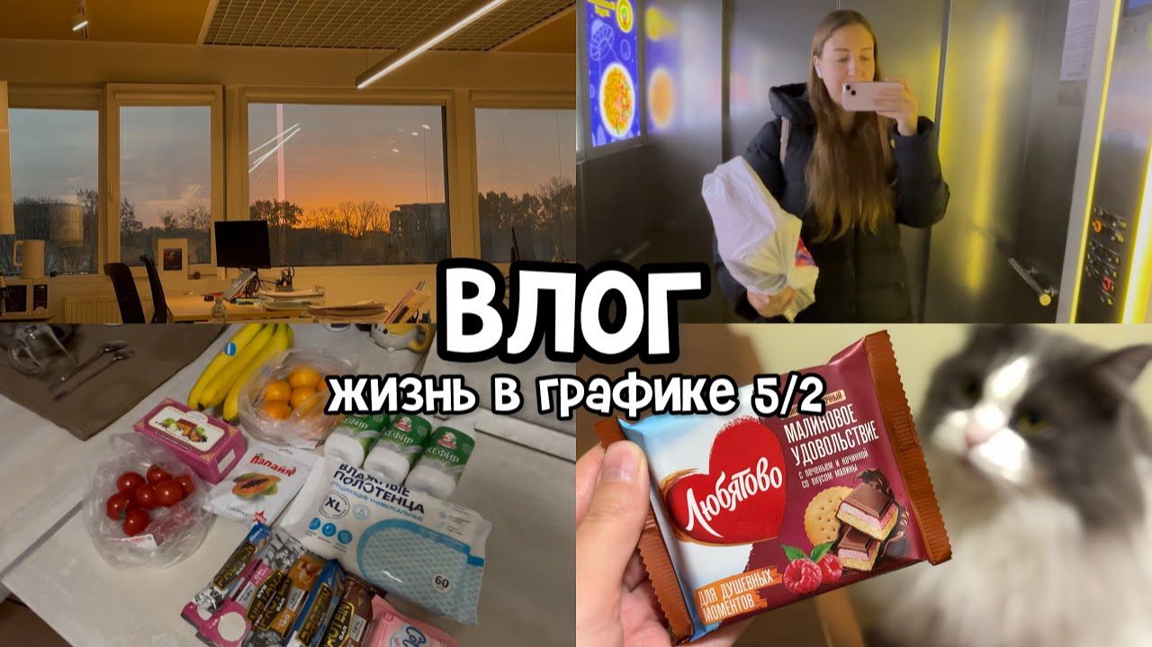 АРХИВ 2025 L Vlog: сильно испугалась за кота | эмоциональные реакции на работу | 04-07.11.2025