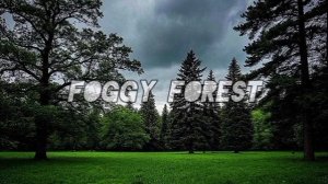 Foggy forest — OST.