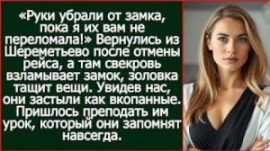 Истории из жизни| Вернулись из Шереметьево после отмены рейса |Аудио рассказы|Жизненные истории