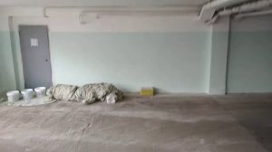 Пандус выезда 2021, в процессе