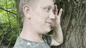 ТСЖ трутовик растёт ! Грибы 2026 !